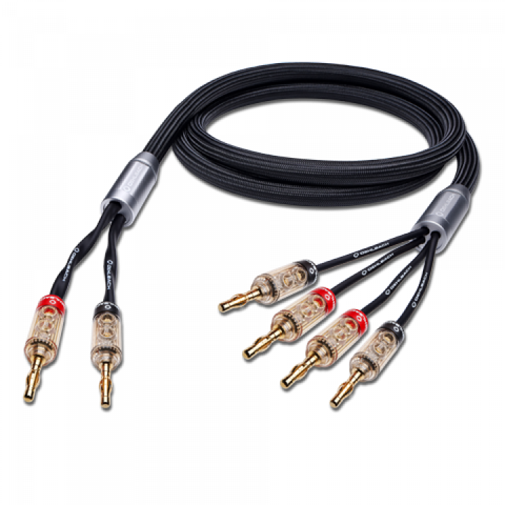 Oehlbach XXL FusionFour 2x m. Banana speaker cable