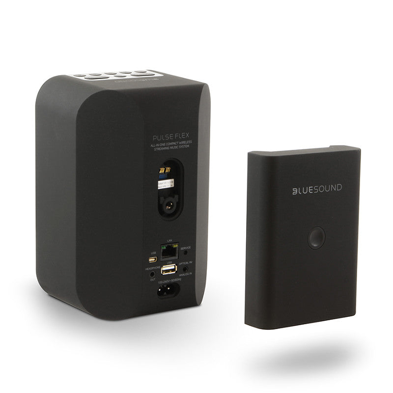 Bluesound BP100 Detachable Battery Pack for Pulse Flex