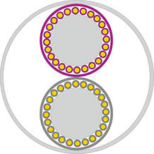 XLO Signature 3-5.2 OCC-6N Solid Core Speaker Cable 1,23 m Banana Connectors (pair)