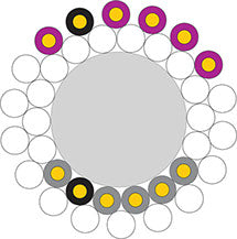 XLO Signature 3-1 OCC-6N Solid Core Analog Audio Cable 2m RCA Connectors (pair)