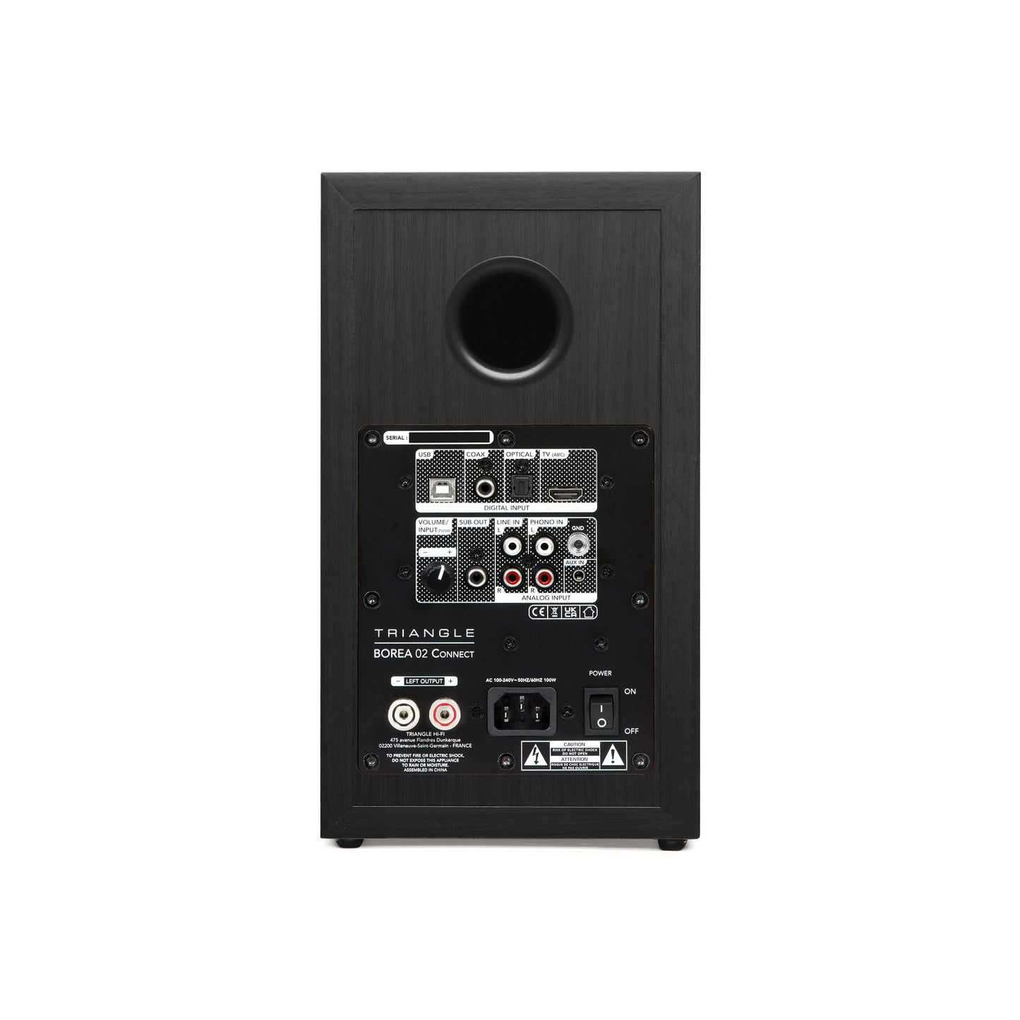 Triangle Borea BR02 Connect Black speaker rear view showing connection panel