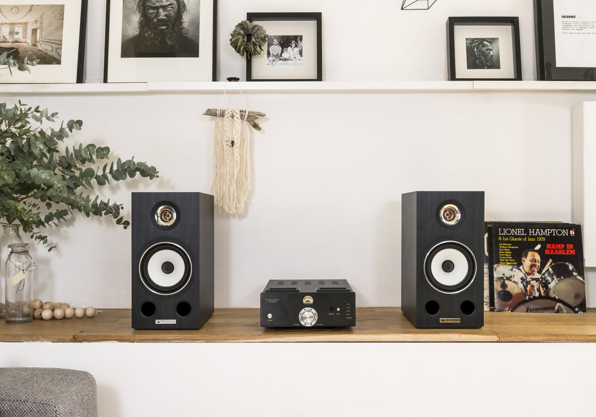 Triangle Esprit Comete EZ Black Ash - lifestyle with amp
