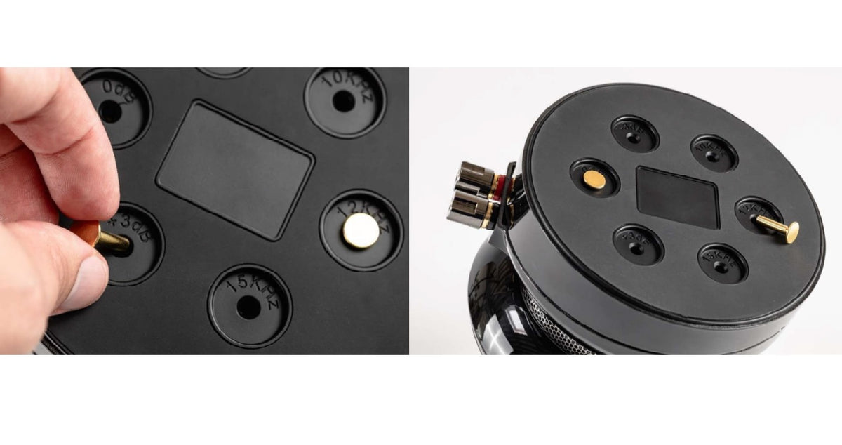 Elac 4Pi Plus V Omnidirectional Ribbon Super-Tweeter (1 Pair) - Black High Gloss