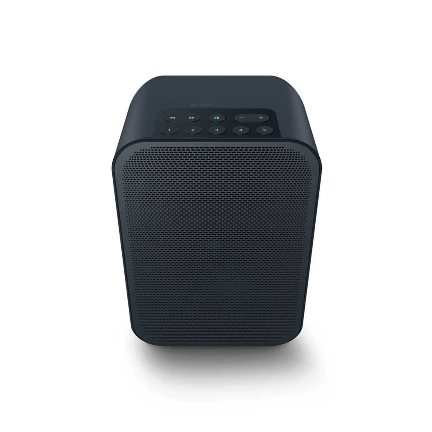 Bluesound Flex 2i Smart Wireless Speaker with Battery