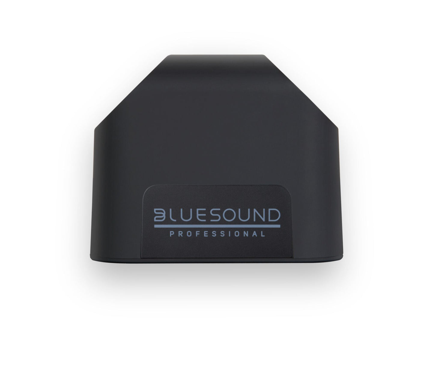 Bluesound Pro BSP125 Smart Network Speaker with WiFi