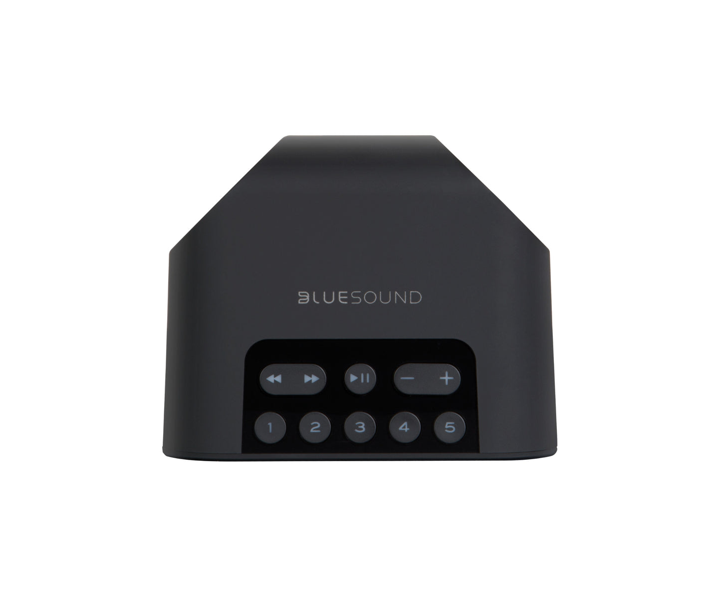 Bluesound Flex 2i Smart Wireless Speaker with Battery