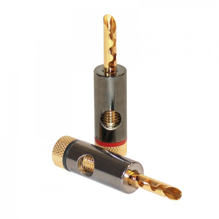 Dynavox Banana Hollow Plug Set B2