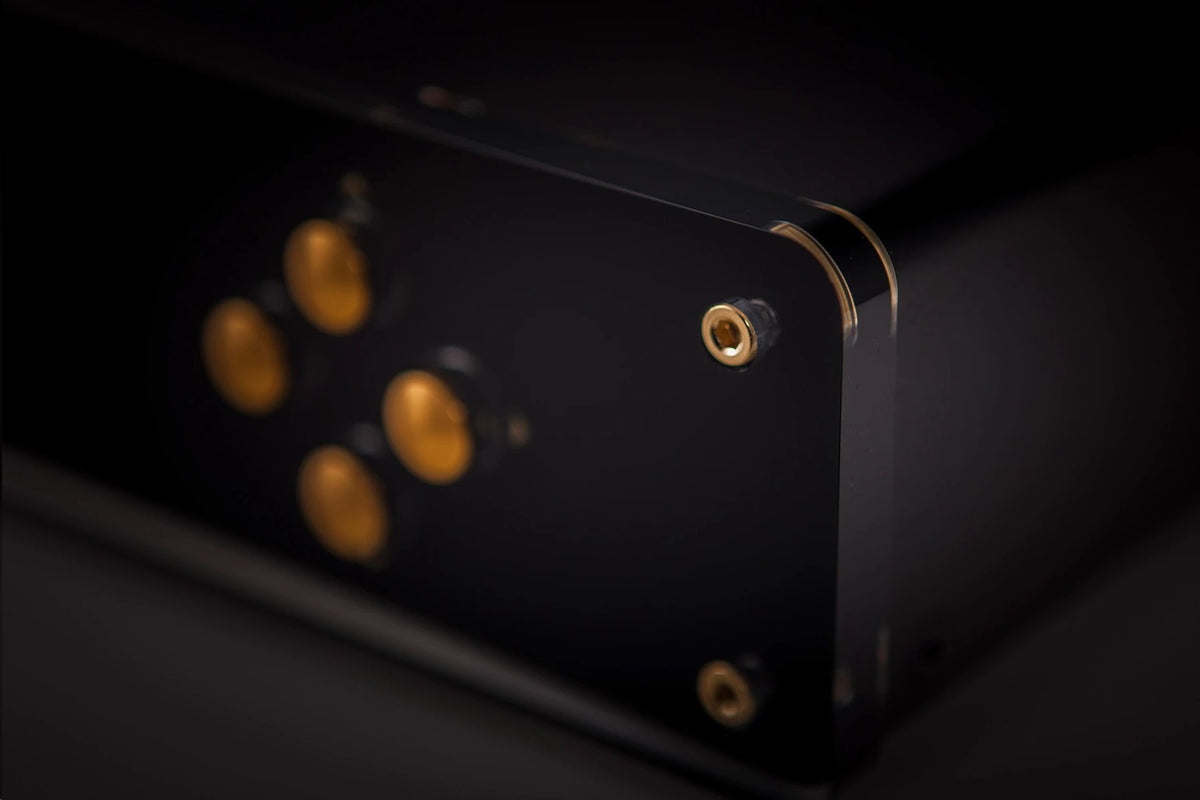 Electrocompaniet ECM 1 MKII High End DAC and Music Streamer