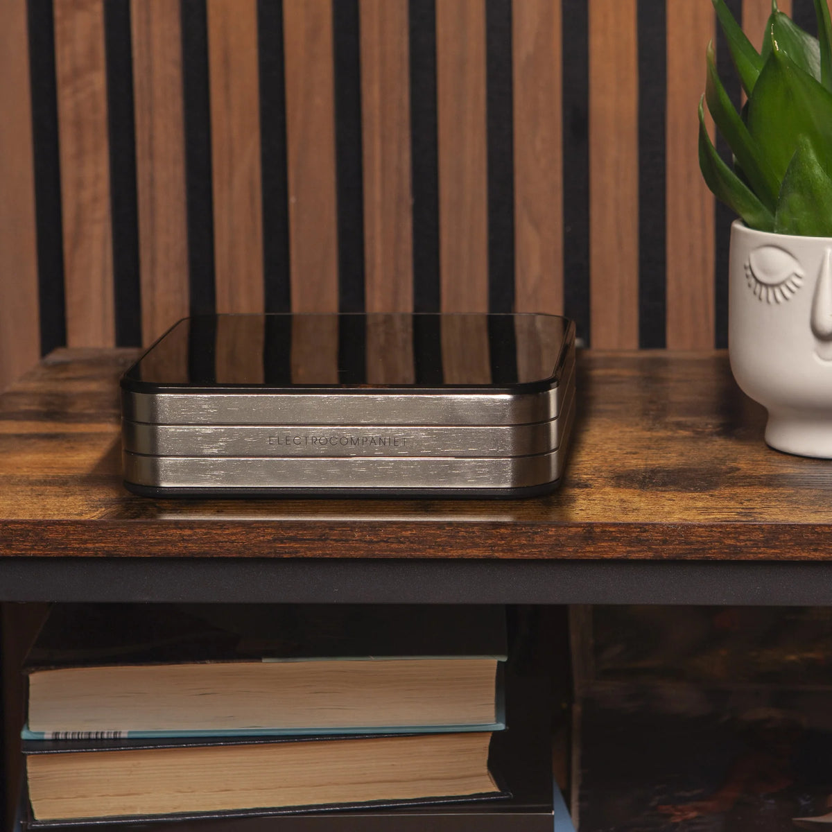 Electrocompaniet Rena SA2 Wireless Streaming Stereo Amplifier