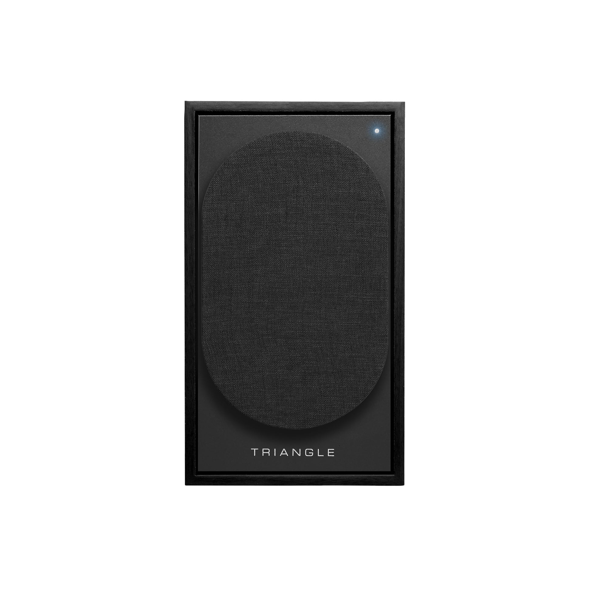 Triangle Borea BR02 Connect Black speaker front view, grille off