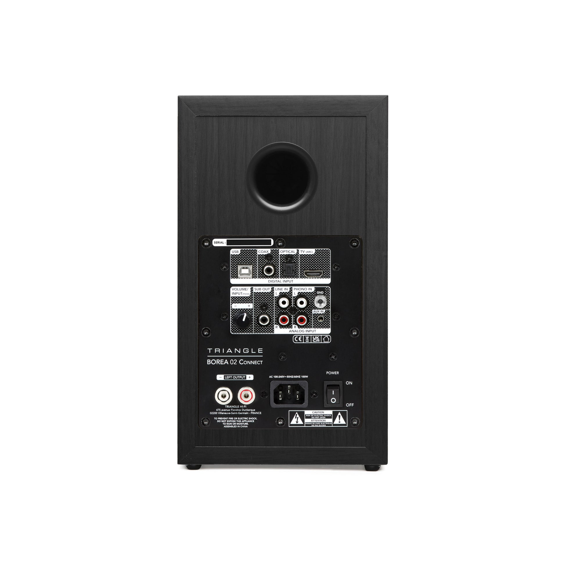 Triangle Borea BR02 Connect Black speaker rear view showing connection panel