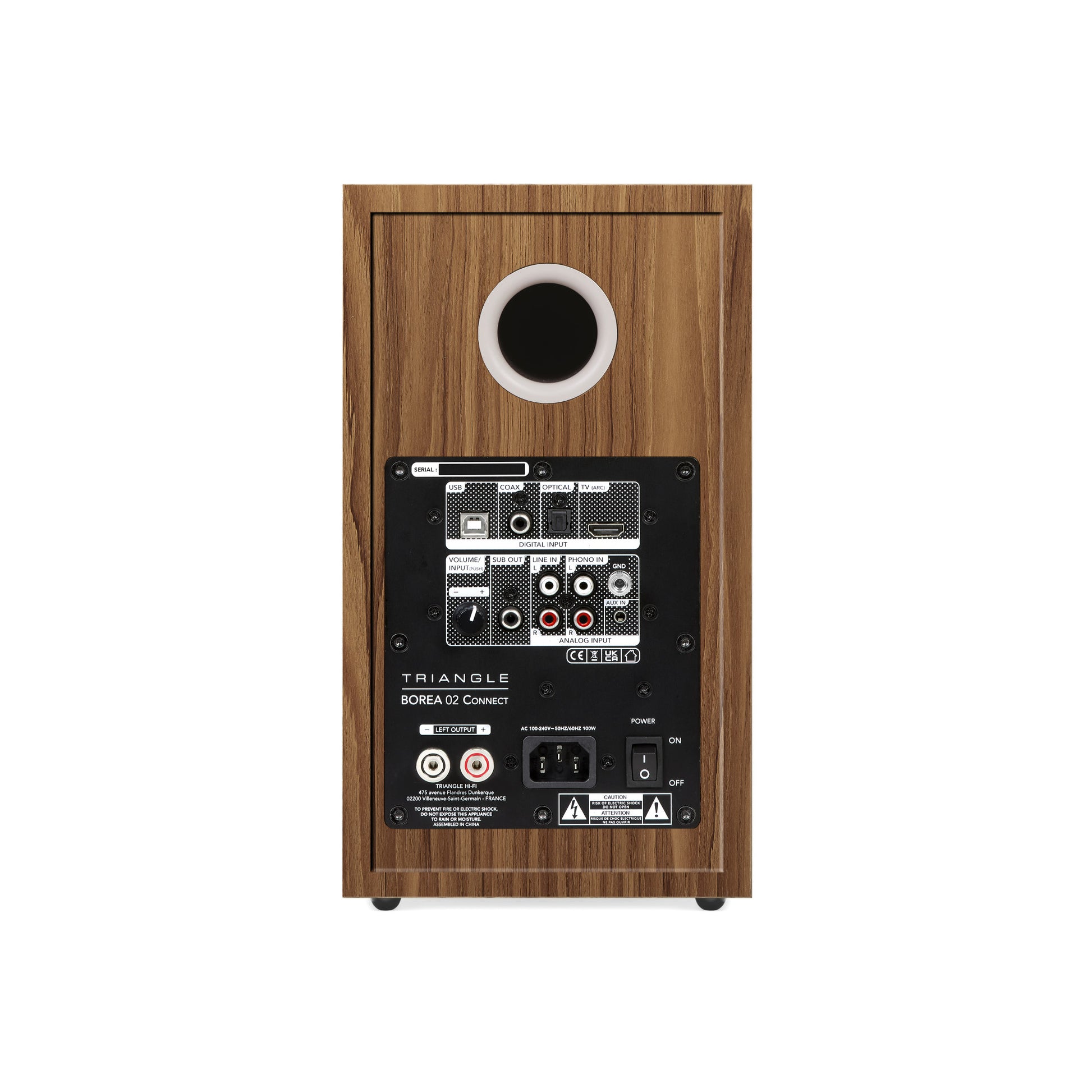 Triangle Borea BR02 Connect Oak speaker rear view showing connection panel