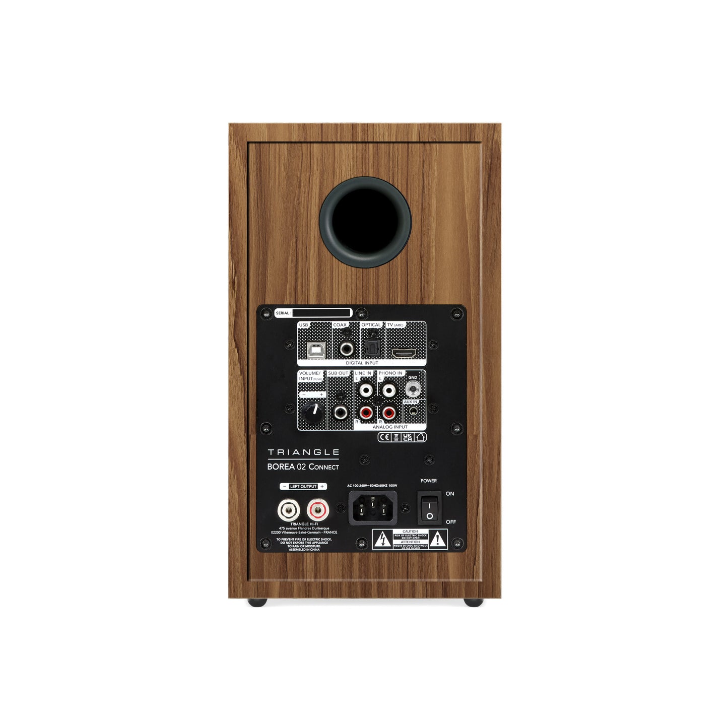 Triangle Borea BR02 Connect Green speaker rear view showing connection panel