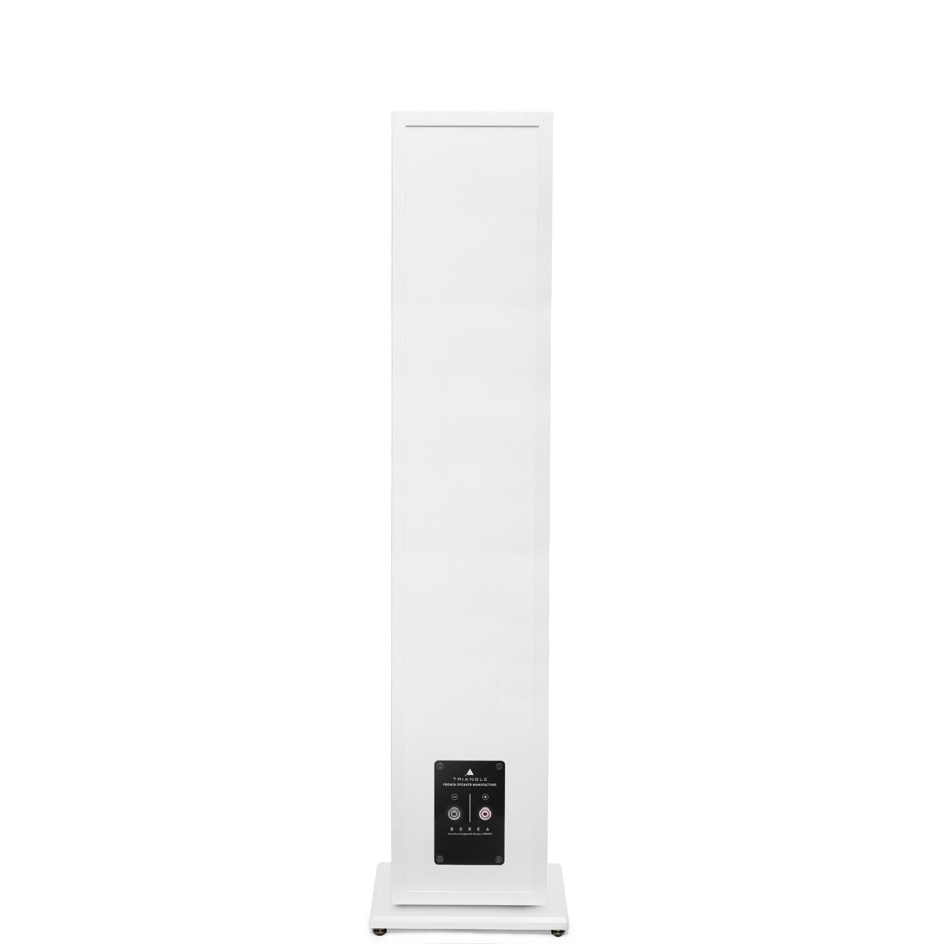 Triangle Borea BR08 White floorstanding speaker, rear view showing speaker terminals