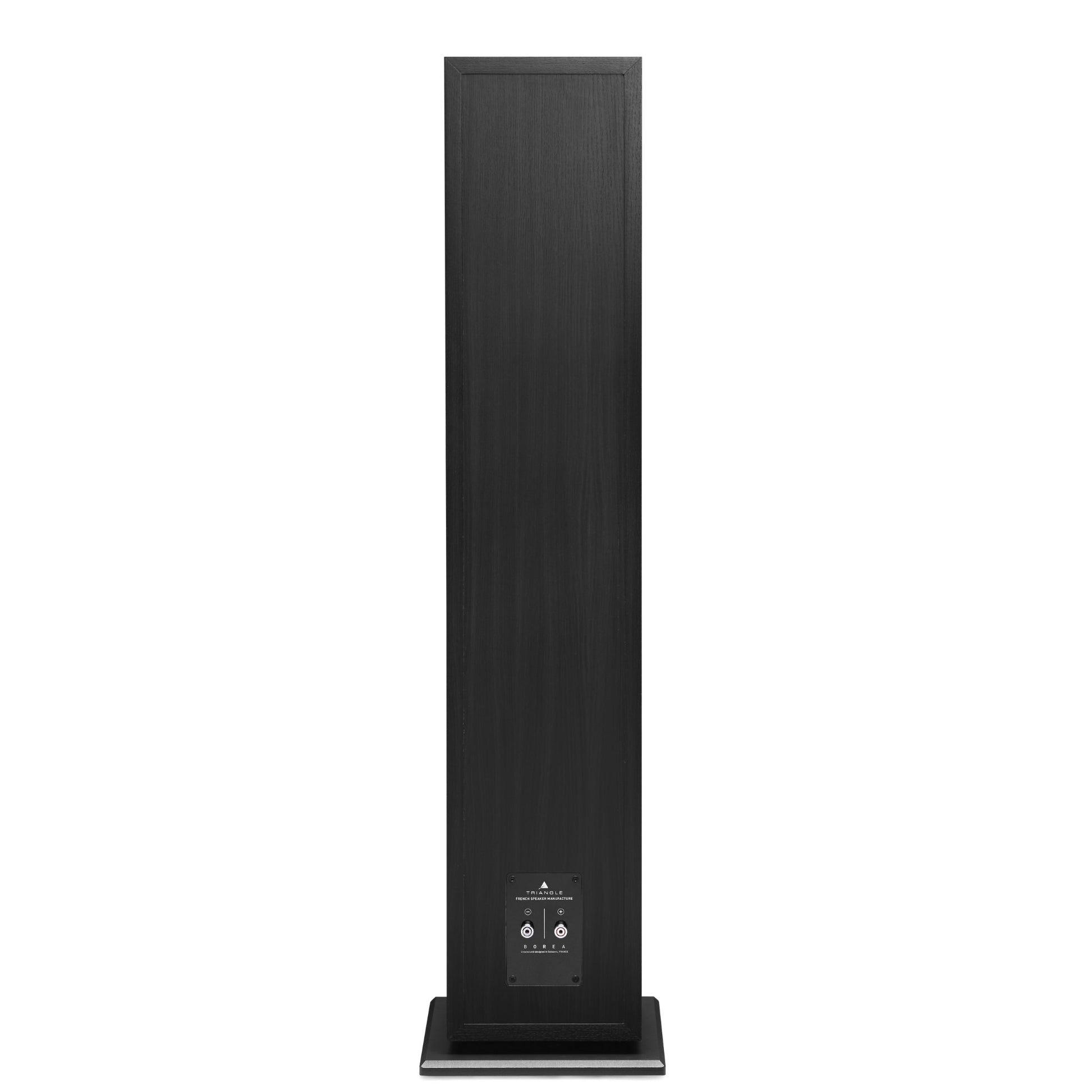 Triangle Borea BR08 Black Ash floorstanding speaker, rear view showing speaker terminals