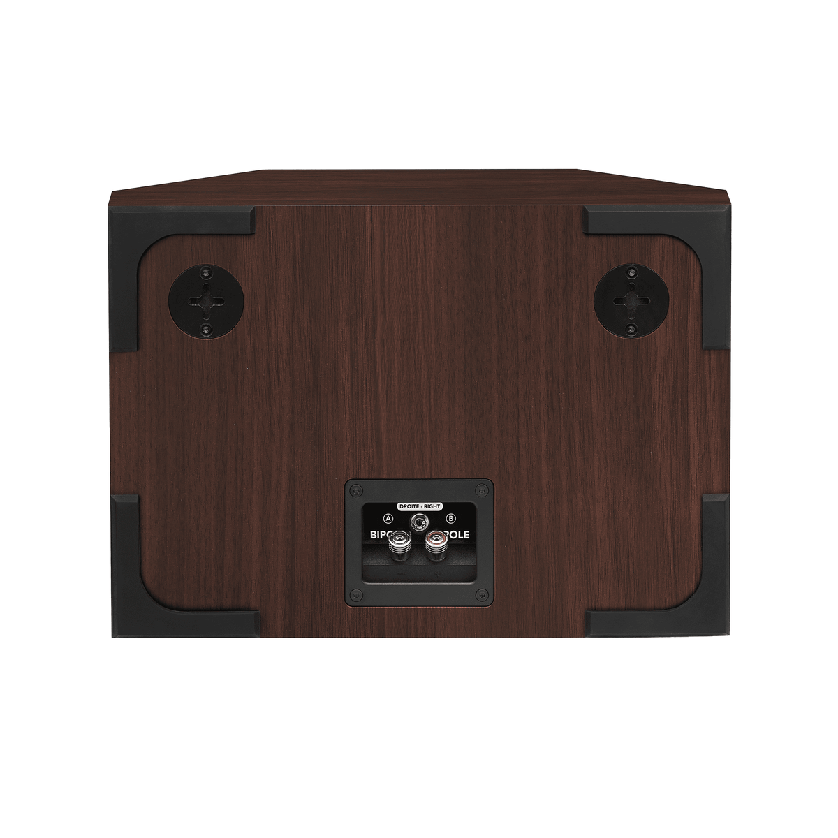 Triangle Borea BRS1 Walnut - rear