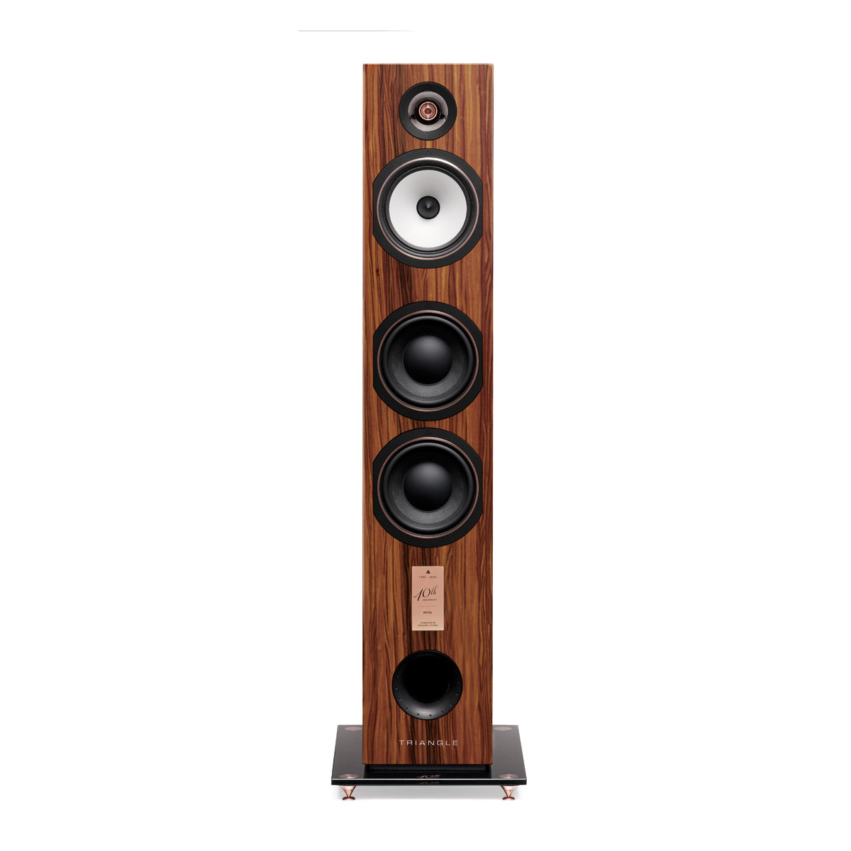 Triangle Esprit Antal 40th Golden Oak - rear