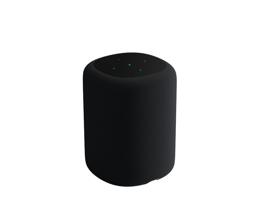 WiiM Sound Smart Speaker - Black