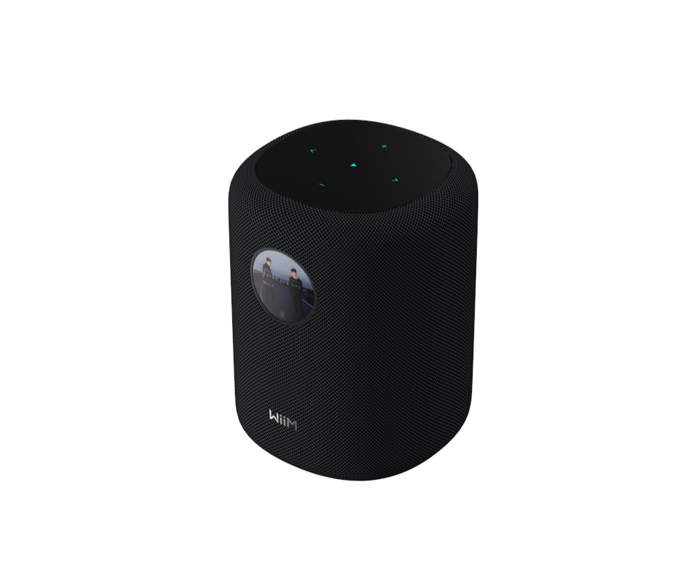 WiiM Sound Smart Speaker - Black