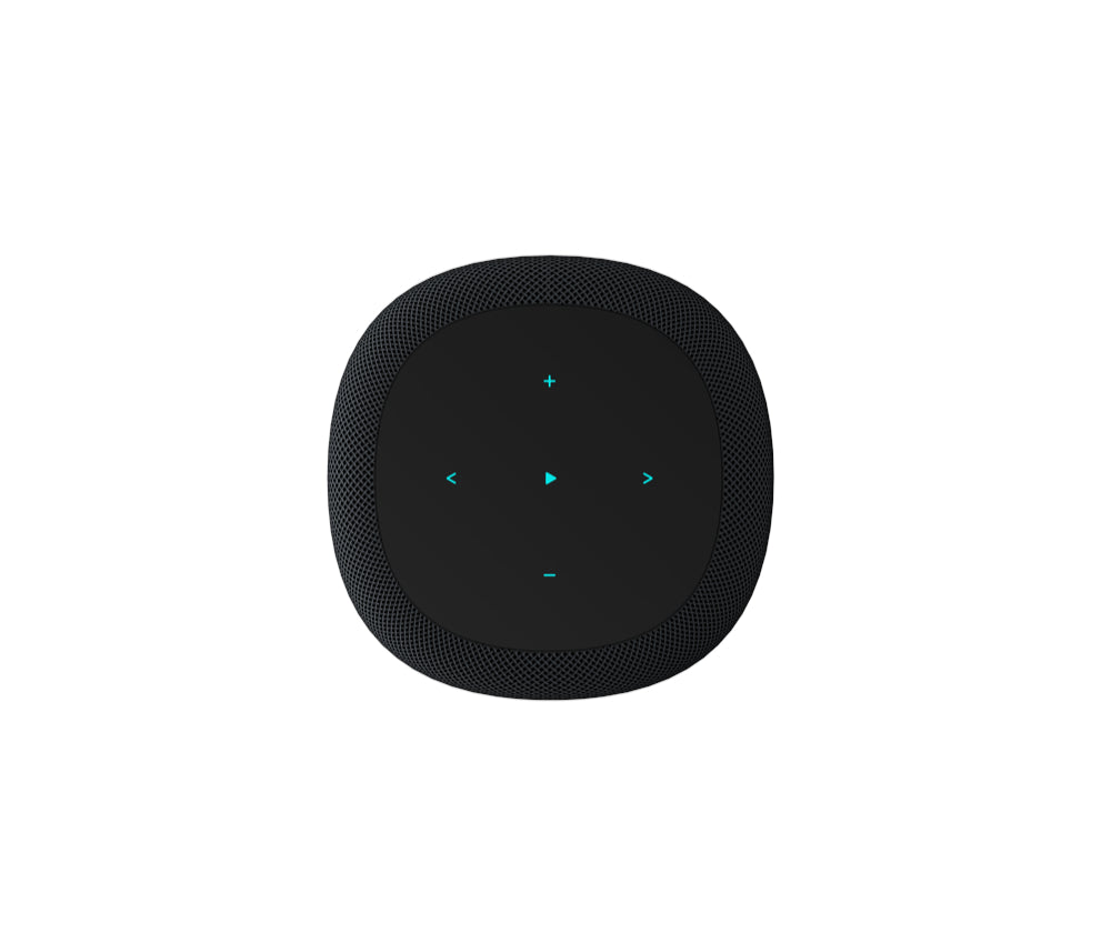 WiiM Sound Smart Speaker - Black